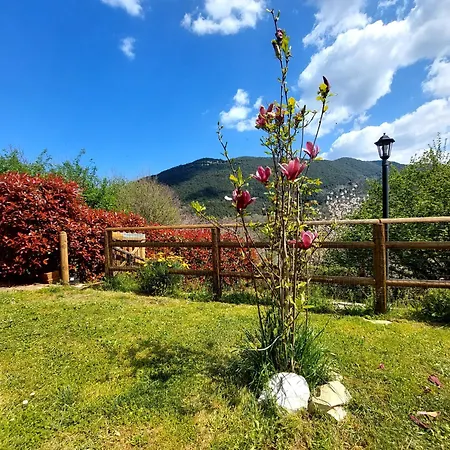 Residenza Del Colle Bed & Breakfast